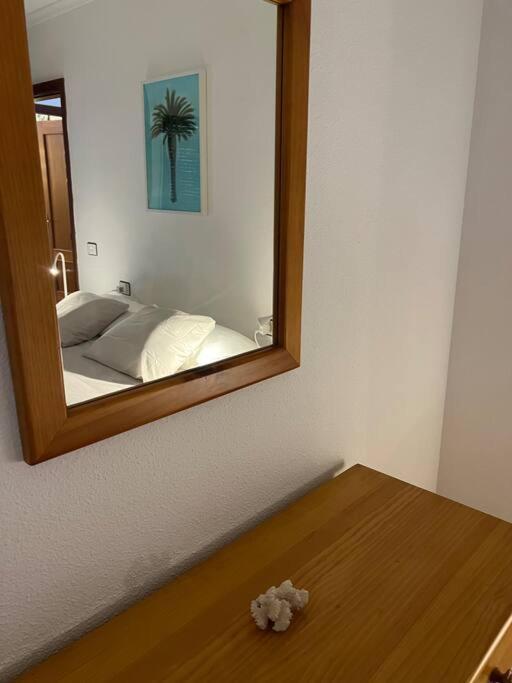 Cozy Appartamento Santa Cruz de Tenerife Esterno foto